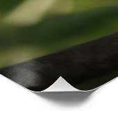 Poster Belle couleur blanche brillant soleil (Coin)