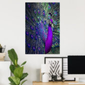Poster Belle couleur violet plumes Peacock Bird (Bureau à domicile)