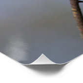 Poster Belle douceur Diamond Dove (Coin)