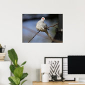 Poster Belle douceur Diamond Dove (Bureau à domicile)