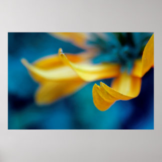 Poster Belle Elégante Abstraite Confleur Jaune Pétale