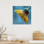 Poster Belle Elégante Fleur de Marigold Jaune (Cuisine)