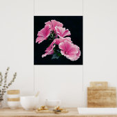 Poster Belle Élégante Fleurs Roses de Mallow Rose (Cuisine)