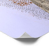 Poster Belle Epoque Beauté Lacy Corset Dressing (Coin)