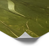 Poster Belle ferme fleur sauvage de tournesols d'automne (Coin)