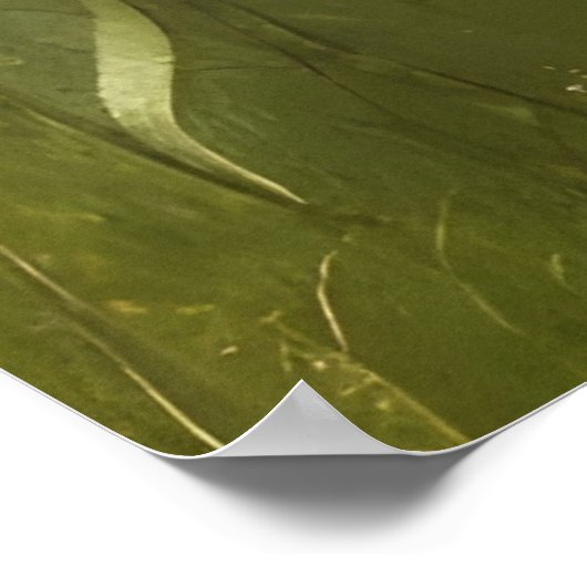 Poster Belle ferme fleur sauvage de tournesols d'automne (Coin)