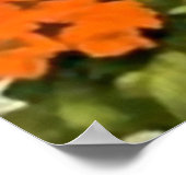 Poster Belle fille calendrier mexicaine avec guitare (Coin)