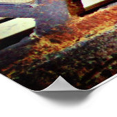 Poster Belle Finch (Coin)