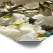 Poster Belle Fleur (Coin)