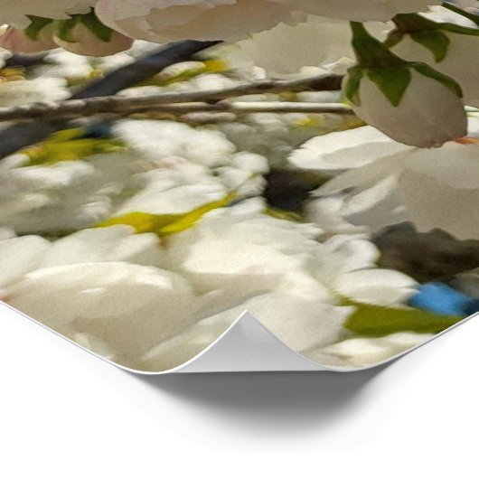 Poster Belle Fleur (Coin)