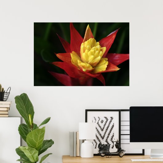 Poster Belle Fleur (Bureau à domicile)