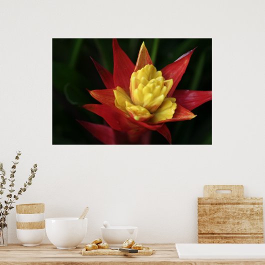 Poster Belle Fleur (Cuisine)