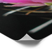 Poster Belle Fleur de Cactus (Coin)