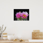 Poster Belle Fleur de Cactus (Cuisine)