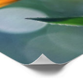 Poster Belle Fleur de Marigold Jaune Lumière Solaire (Coin)