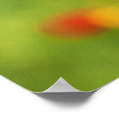 Poster Belle Fleur de Pavot Rouge (Coin)