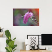 Poster Belle fleur de prairie (Bureau à domicile)