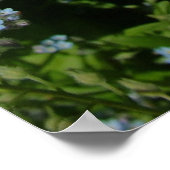 Poster belle fleur jaune, marguerite (Coin)