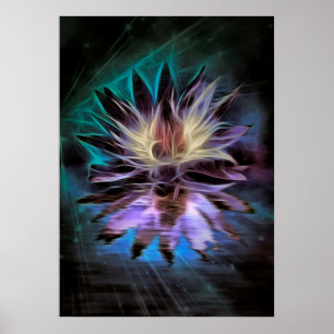 Poster Belle Fleur Lotus