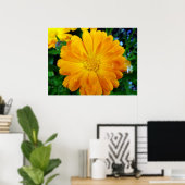 Poster belle fleur marguerite jaune (Bureau à domicile)