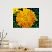 Poster belle fleur marguerite jaune (Cuisine)