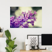 Poster Belle Fleurs Lilac Violet Élégante (Bureau à domicile)