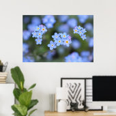 Poster Belle fleurs Oubliez-moi-pas (Bureau à domicile)