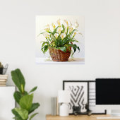 Poster Belle floraison Calla Lily Fleurs (Bureau à domicile)