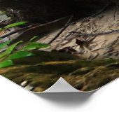 Poster Belle Forêt (Coin)