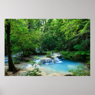 Poster Belle Forêt