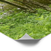 Poster Belle forêt belge et rivière, voyage (Coin)