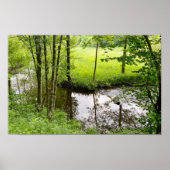 Poster Belle forêt belge et rivière, voyage (Devant)