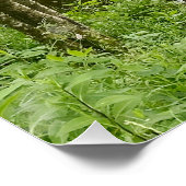 Poster Belle forêt belge et rivière, voyage (Coin)