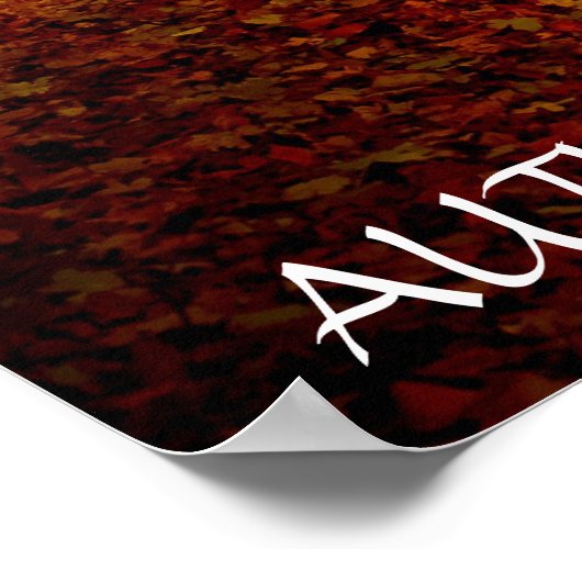 Poster Belle forêt d'automne (Coin)