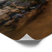 Poster Belle forêt d'automne (Coin)