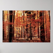 Poster Belle forêt d'automne (Devant)