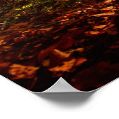 Poster Belle forêt d'automne (Coin)