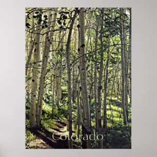 Poster Belle forêt de peupliers trembles à Crested Butte