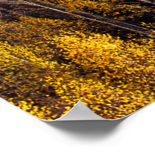 POSTER BELLE FORÊT DE PINS (Coin)