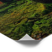 Poster Belle forêt d'été Sunrise Paysage (Coin)