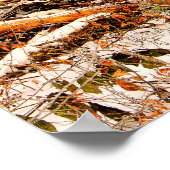 Poster Belle forêt d'hiver avec neige (Coin)
