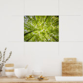 Poster Belle forêt verte (Cuisine)