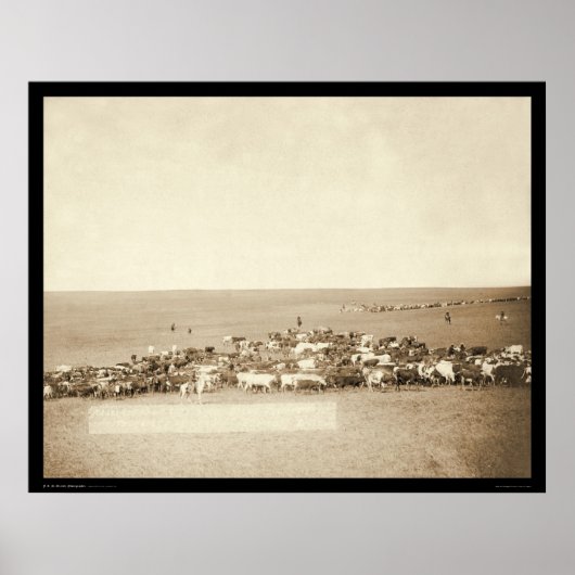 Poster Belle Fouche Cowboy Round-Up SD 1887 (Devant)