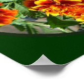 Poster Belle Fowl de jeu (Coin)