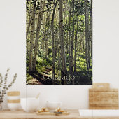 Poster Belle Grove d'Aspen Trees en Butte Crested Po (Cuisine)