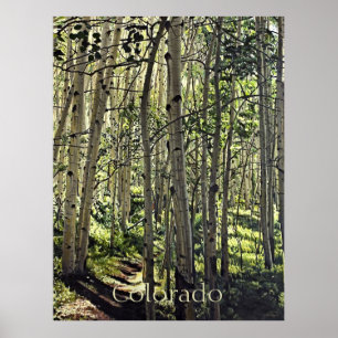 Poster Belle Grove d'Aspen Trees en Butte Crested Po