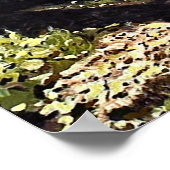 Poster Belle Grove d'Aspen Trees en Butte Crested Po (Coin)
