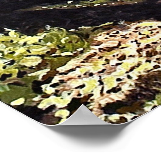 Poster Belle Grove d'Aspen Trees en Butte Crested Po (Coin)