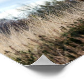 Poster Belle hotte des Highlands (Coin)