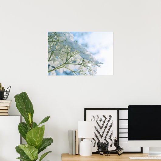 Poster Belle Hydrangée Blanche Blooms Highkey (Bureau à domicile)